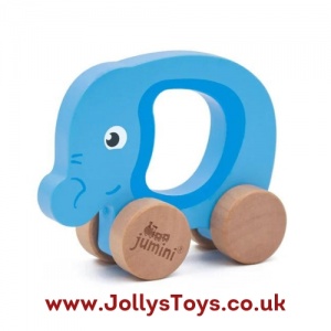 Wooden Duck Push Along